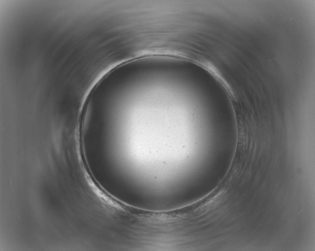 X0000061121100200512022146