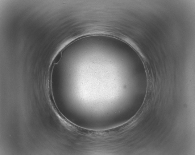 X0000061121101200512022146