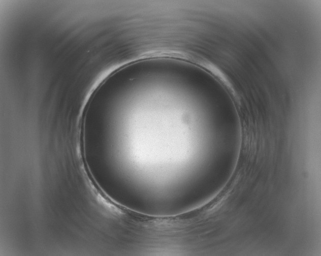 X0000061121102200512022145