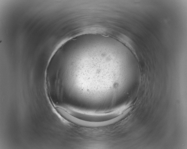 X0000061121103200512022145