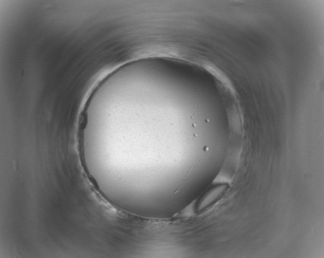 X0000061121104200512022145