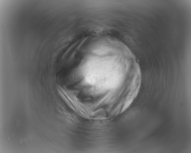 X0000061121105200512022145