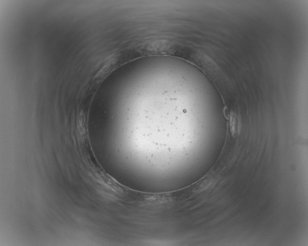 X0000061121107200512022145