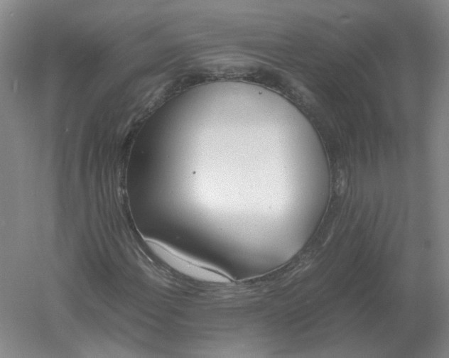 X0000061121108200512022145