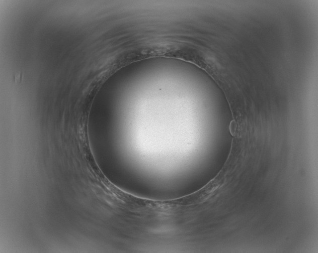 X0000061121109200512022145