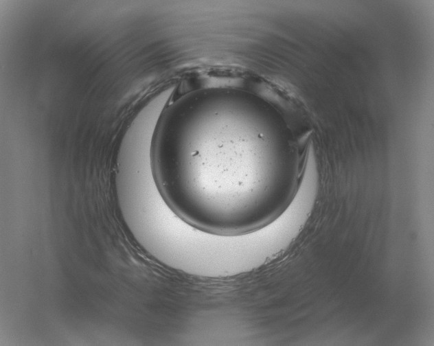 X0000061121110200512022145