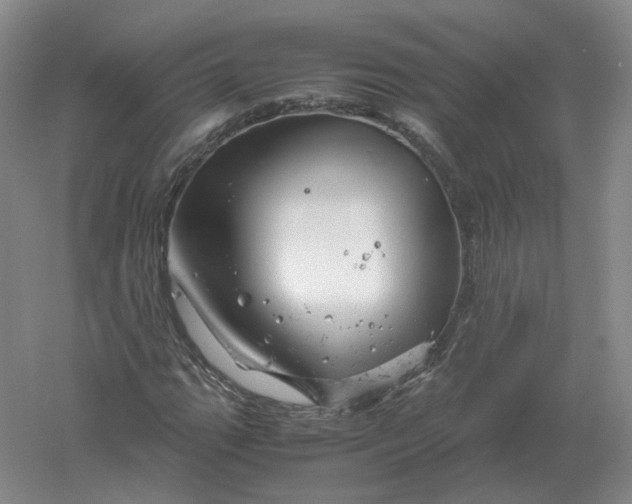 X0000061121111200512022145