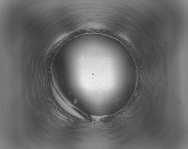 X0000061121112200512022145