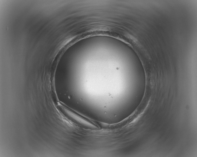 X0000061121113200512022145