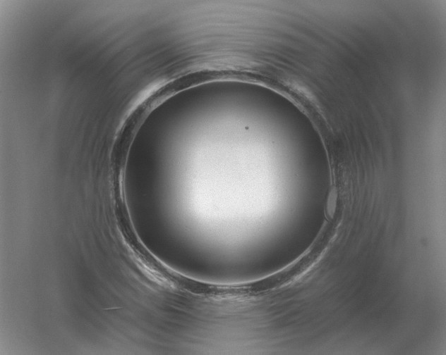 X0000061121114200512022145