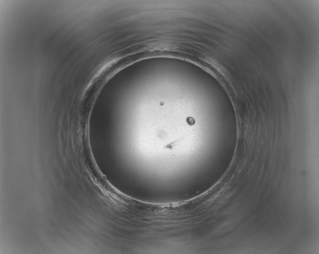 X0000061121115200512022145