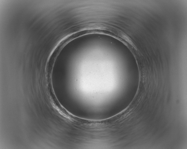 X0000061121116200512022145