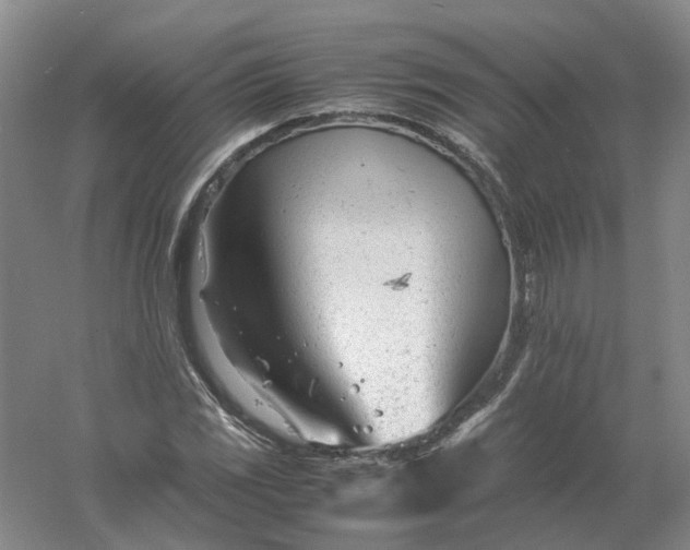 X0000061121117200512022145