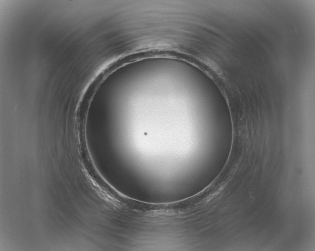 X0000061121118200512022145