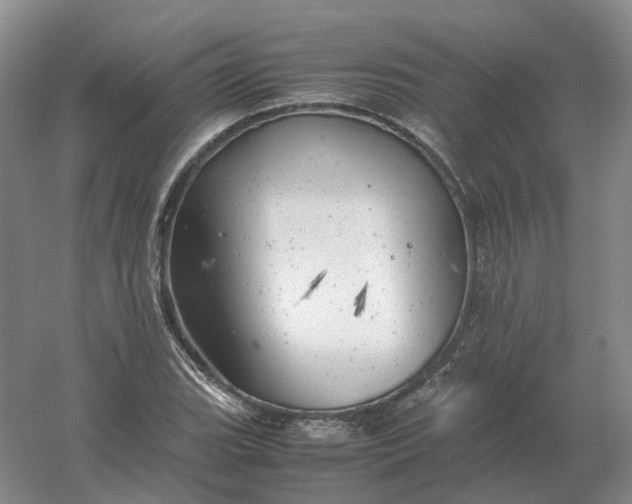 X0000061121119200512022145