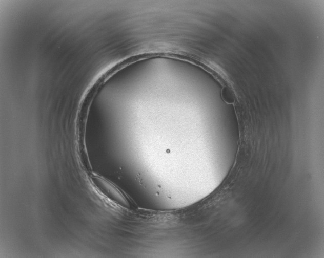 X0000061121120200512022145