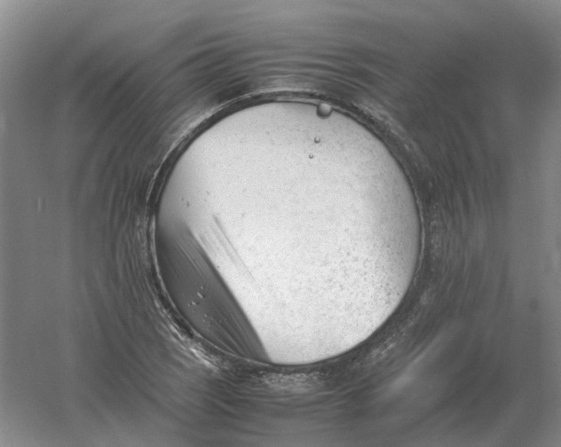 X0000061121121200512022145