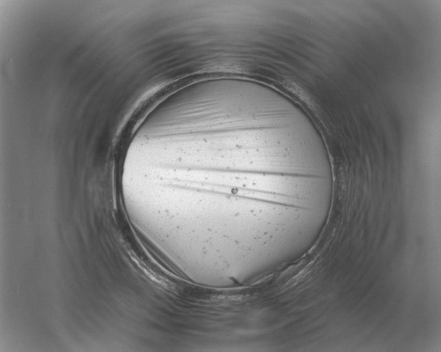 X0000061121123200512022145