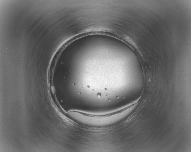 X0000061121124200512022145