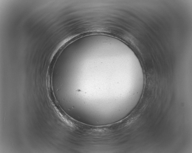 X0000061121125200512022145