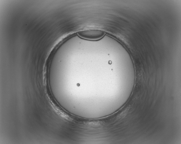 X0000061121126200512022145