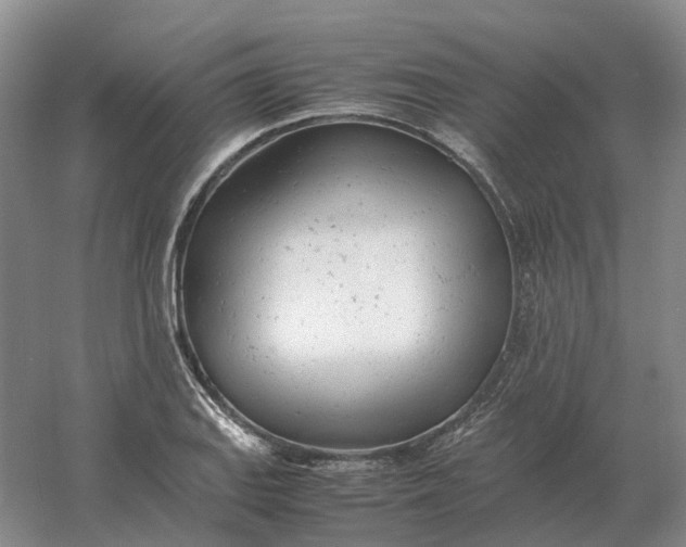 X0000061121127200512022145