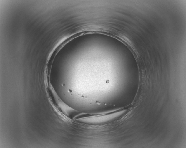 X0000061121128200512022145