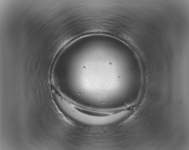 X0000061121129200512022145