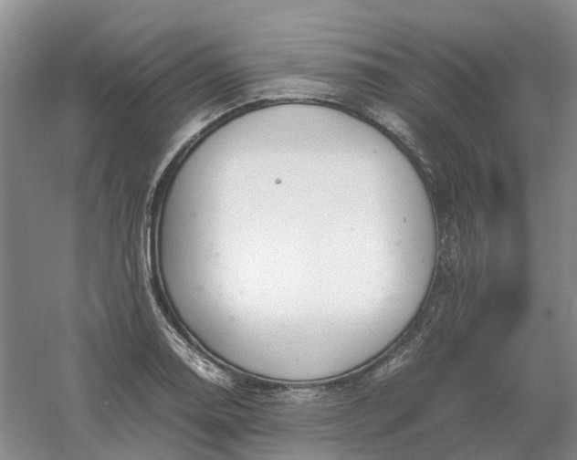 X0000061121130200512022145