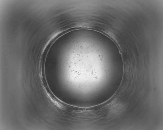 X0000061121131200512022145