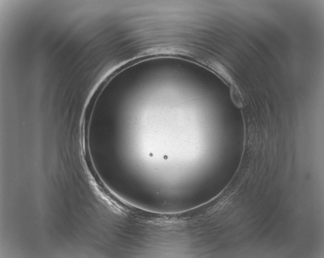 X0000061121132200512022145