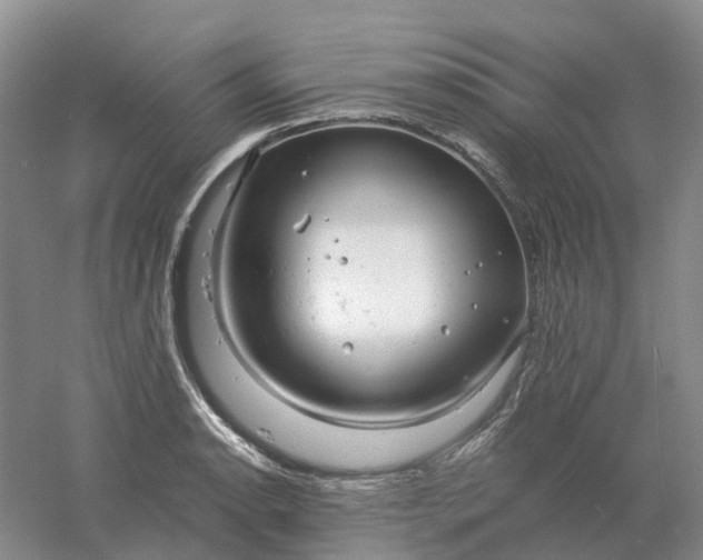 X0000061121134200512022145