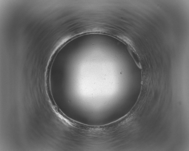 X0000061121135200512022145