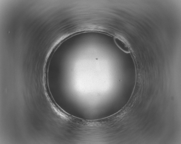 X0000061121136200512022145