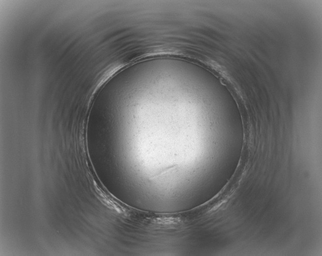 X0000061121137200512022145