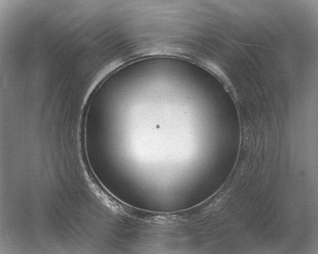 X0000061121138200512022145