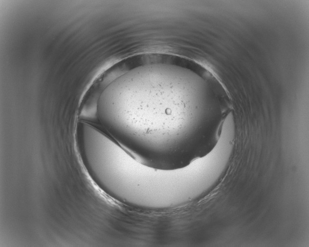 X0000061121139200512022145