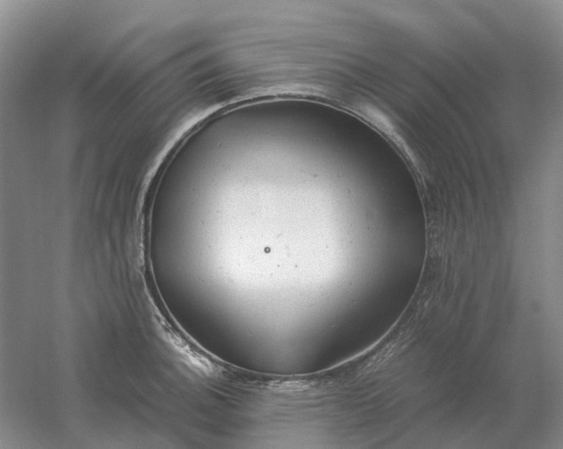 X0000061121140200512022145