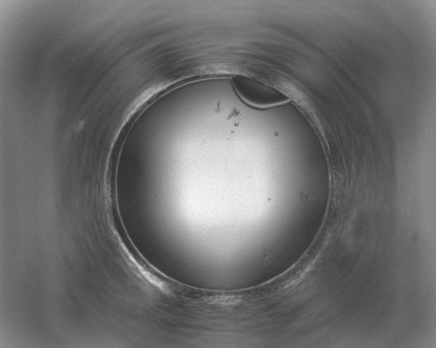 X0000061121141200512022145