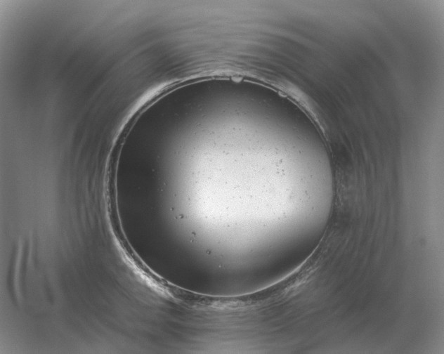 X0000061121142200512022145