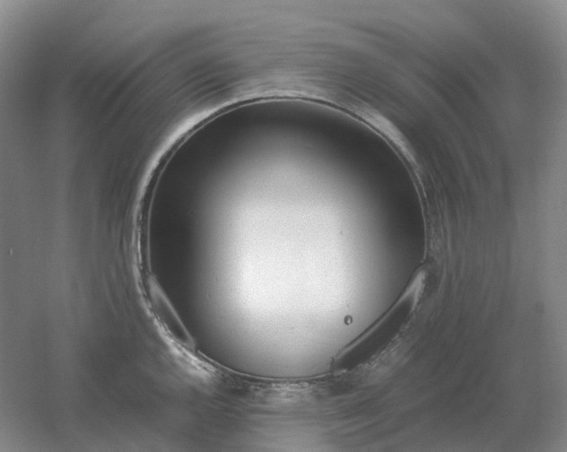 X0000061121144200512022145