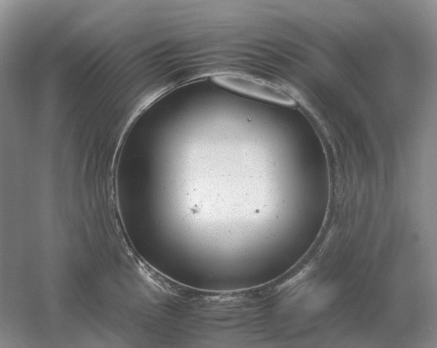 X0000061121145200512022145