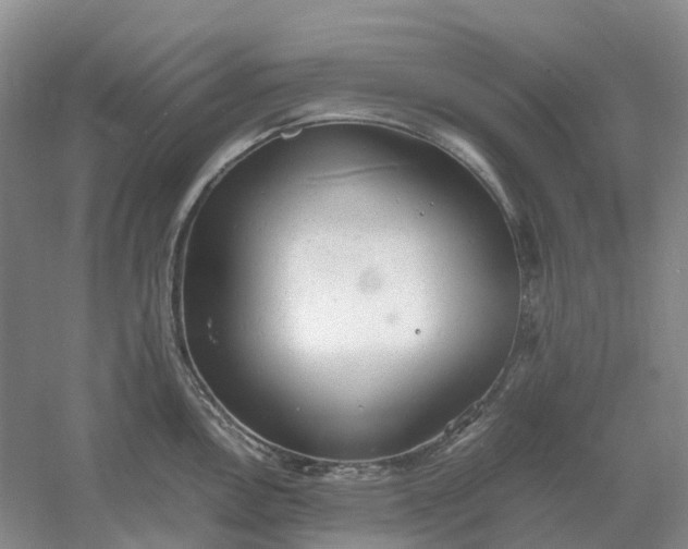 X0000061121146200512022145