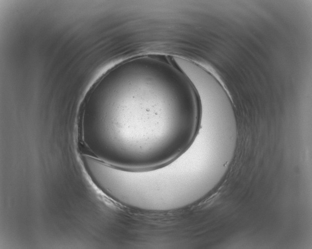 X0000061121147200512022145