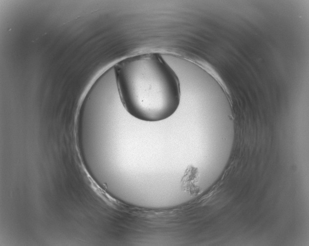 X0000061121148200512022145