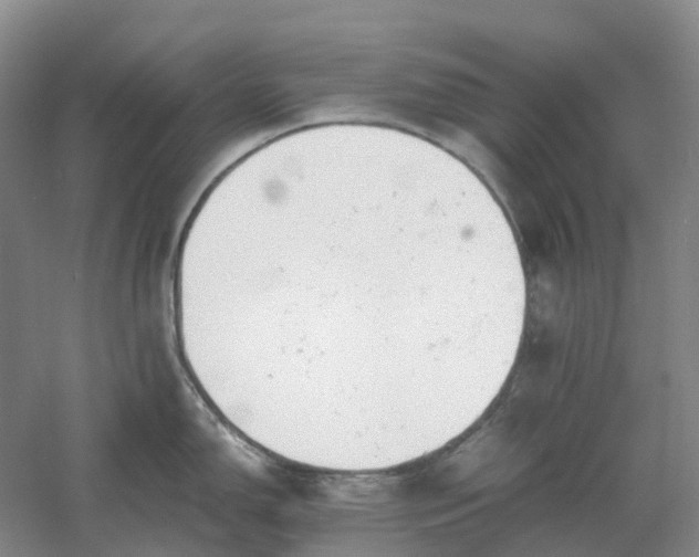 X0000061121150200512022145