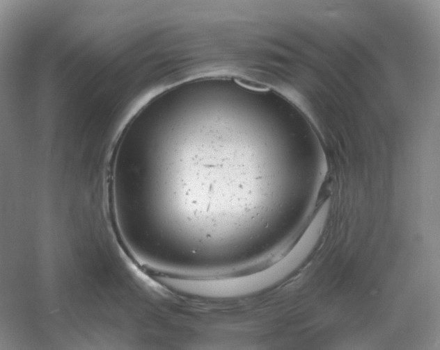 X0000061121151200512022145