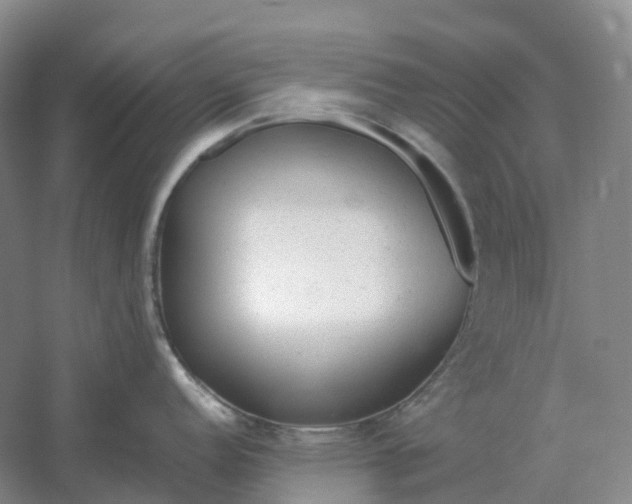 X0000061121152200512022145