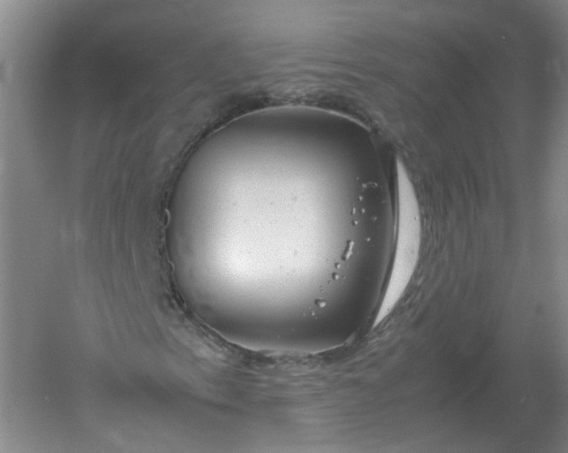 X0000061121153200512022145