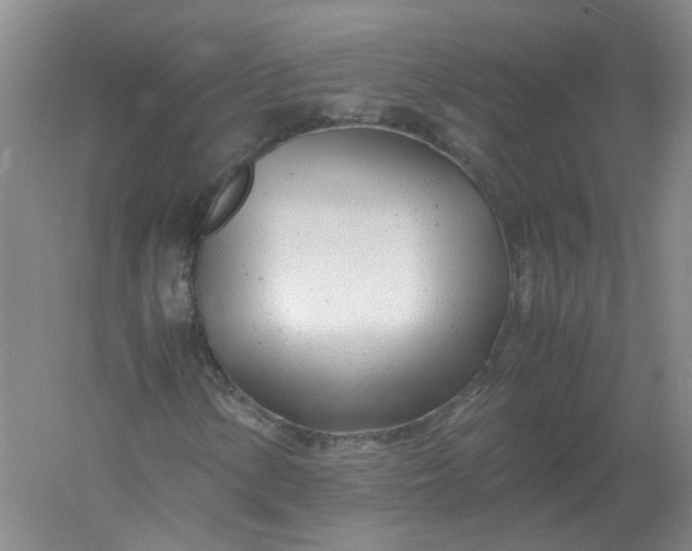 X0000061121154200512022145